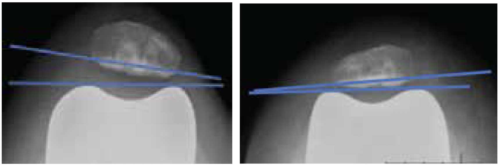 Screenshot 2025-03-06 at 1.11.33 PM